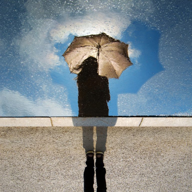The Reflection